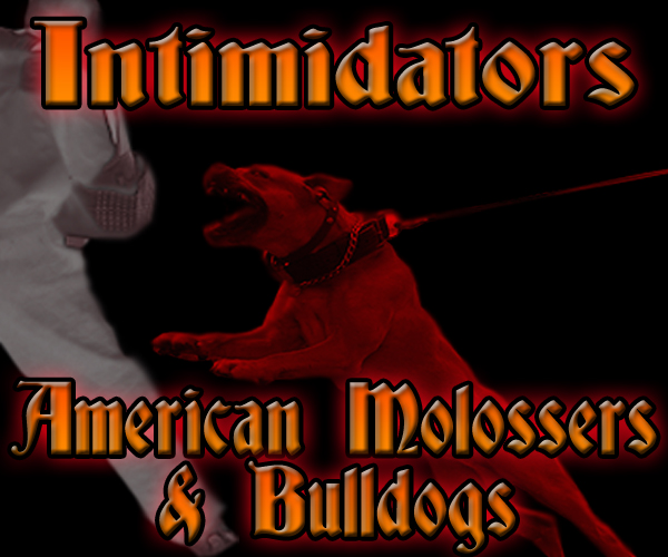 logo2_copy.jpg